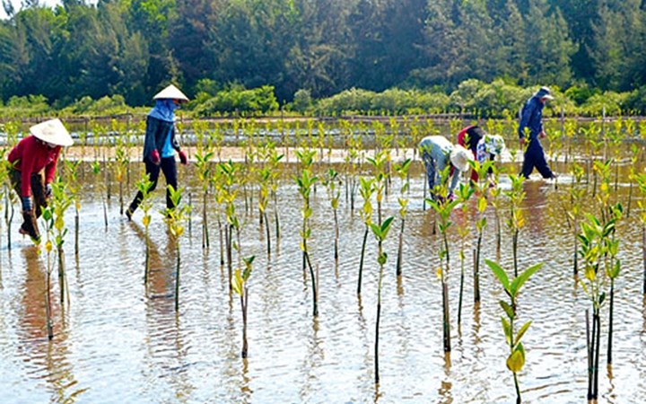 USAID hợp tác với Việt Nam về ứng phó với biến đổi khí hậu 