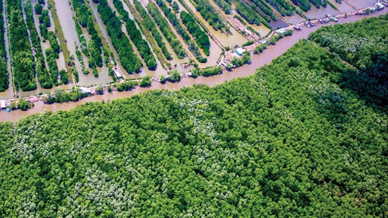 Tăng cường chính sách môi trường trong phát triển bền vững ở Việt Nam