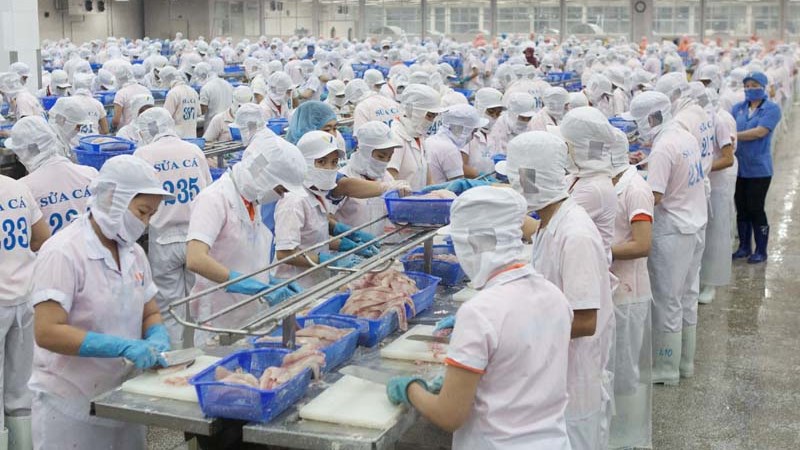 Quản lý vốn lưu động và hiệu quả hoạt động  tại các doanh nghiệp thủy sản Việt Nam
