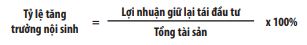 Tác động của năng lực tài chính tới tăng trưởng bền vững trong doanh nghiệp   - Ảnh 1