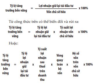 Tác động của năng lực tài chính tới tăng trưởng bền vững trong doanh nghiệp   - Ảnh 3