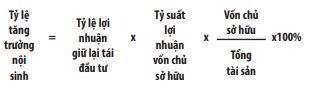 Tác động của năng lực tài chính tới tăng trưởng bền vững trong doanh nghiệp   - Ảnh 2