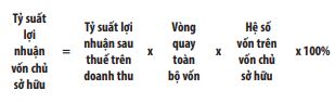 Tác động của năng lực tài chính tới tăng trưởng bền vững trong doanh nghiệp   - Ảnh 4