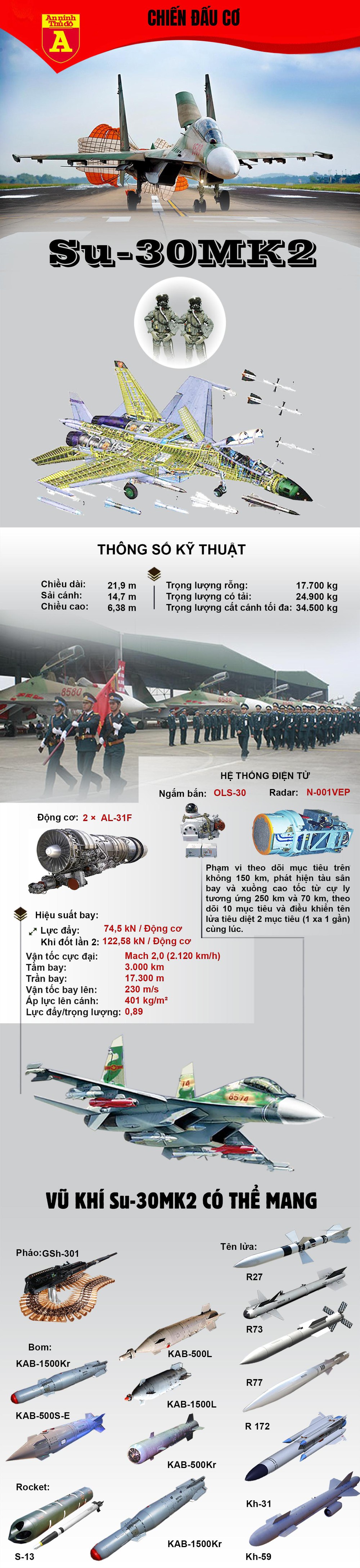 "Hổ mang chúa" Su-30MK2 của Việt Nam - Ảnh 1