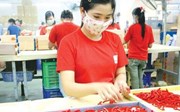 Phát triển kinh tế tư nhân nhằm chuyển dịch cơ cấu kinh tế TP. Chí Linh, Hải Dương