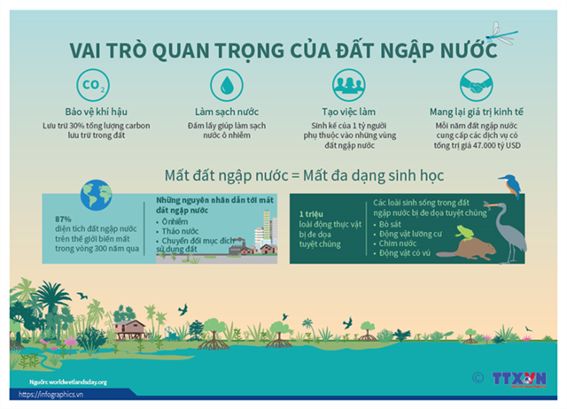 [Infographics] Vai trò quan trọng của đất ngập nước - Tạp chí Tài chính