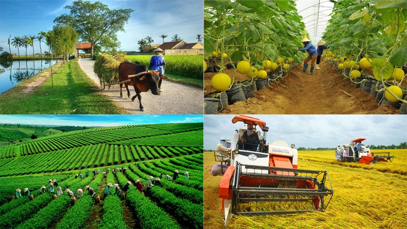Phát triển kinh tế nông thôn ở các nước và thực tiễn tại Việt Nam