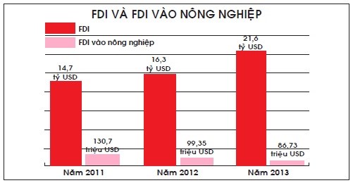 FDI vào nông nghiệp: Nhà nông trông chờ... vốn ngoại - Ảnh 1