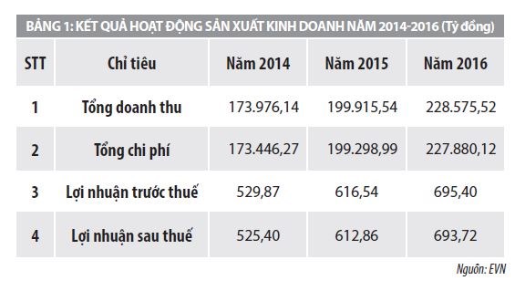 Kinh nghiệm của Tập đoàn Điện lực Việt Nam trong cổ phần hóa và thoái vốn tại các đơn vị thành viên  - Ảnh 1