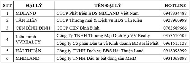 Lễ ra quân phân phối sản phẩm và tư vấn bán hàng The Sailing Quy Nhơn - Ảnh 1