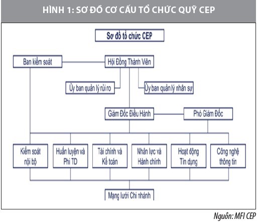 Nâng cao hiệu quả quản trị rủi ro tín dụng các tổ chức tài chính vi mô Việt Nam  - Ảnh 1